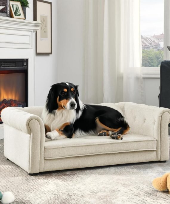 Dog Sofa Couch for Medium Dogs, 39" Memory Foam Dog Couch with Washable Fabric, Removable Cushion, Sofa Bed for Medium Dogs, Beige